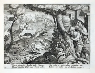 Tower Crane and their chicks swooping down on snakes, illustration from 